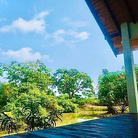 Thihawa Eco Huts Yala Bed & Breakfast Tissamaharama Dış mekan fotoğraf