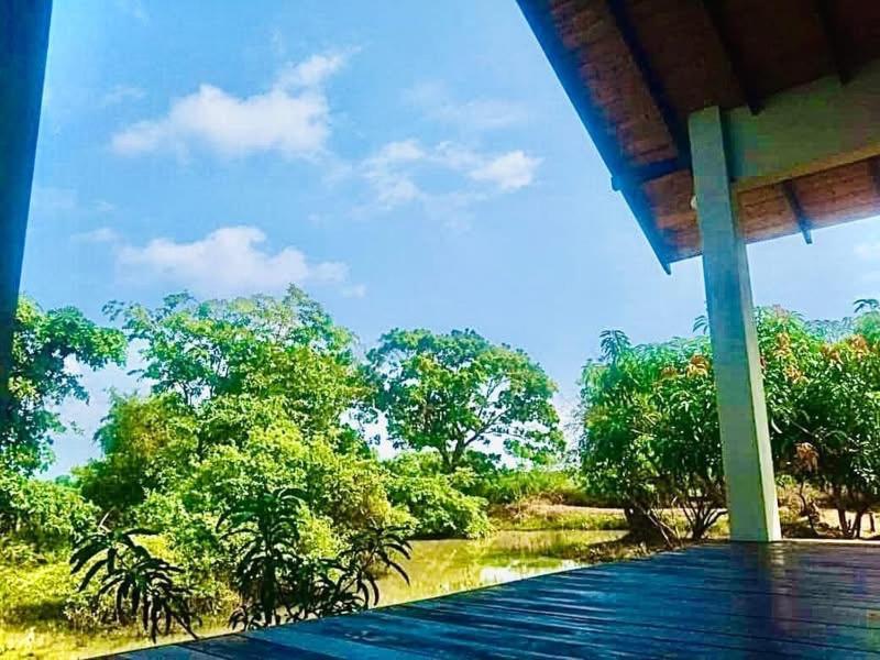 Thihawa Eco Huts Yala Bed & Breakfast Tissamaharama Dış mekan fotoğraf
