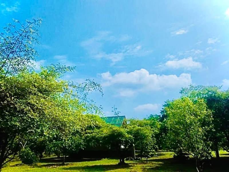 Thihawa Eco Huts Yala Bed & Breakfast Tissamaharama Dış mekan fotoğraf