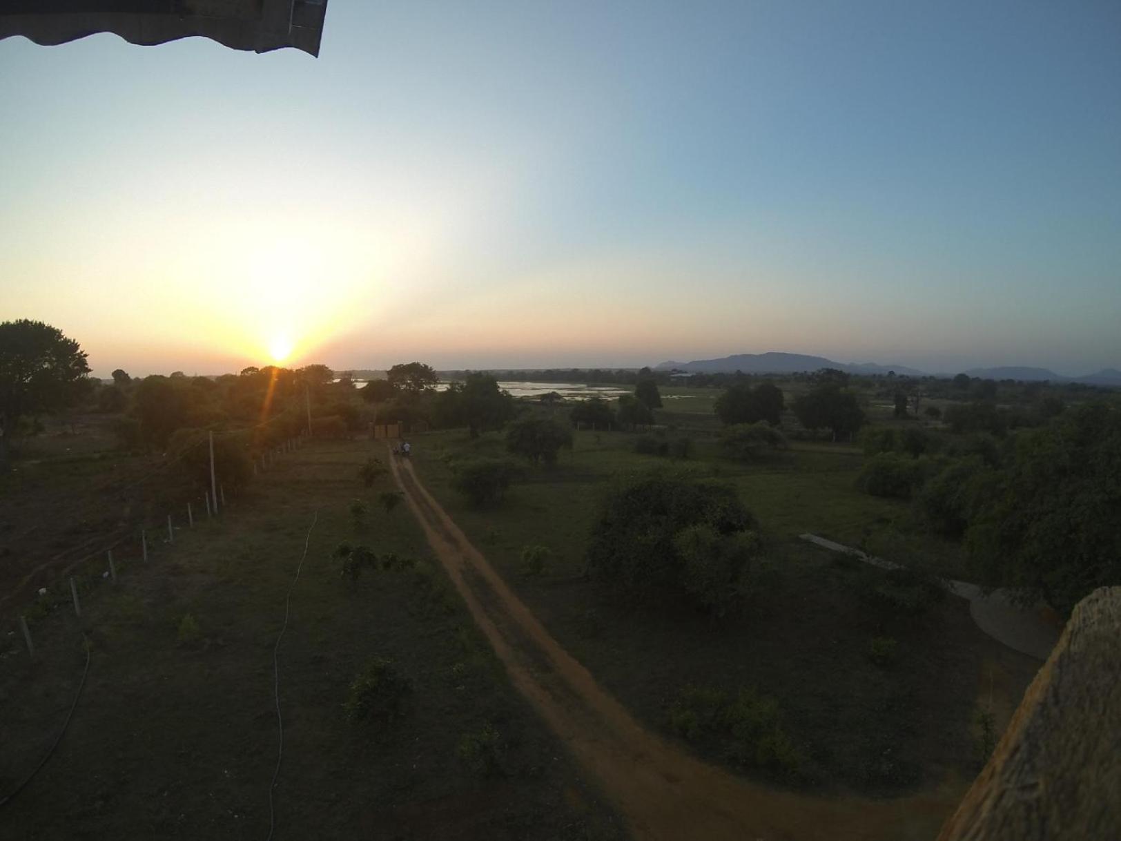 Thihawa Eco Huts Yala Bed & Breakfast Tissamaharama Dış mekan fotoğraf