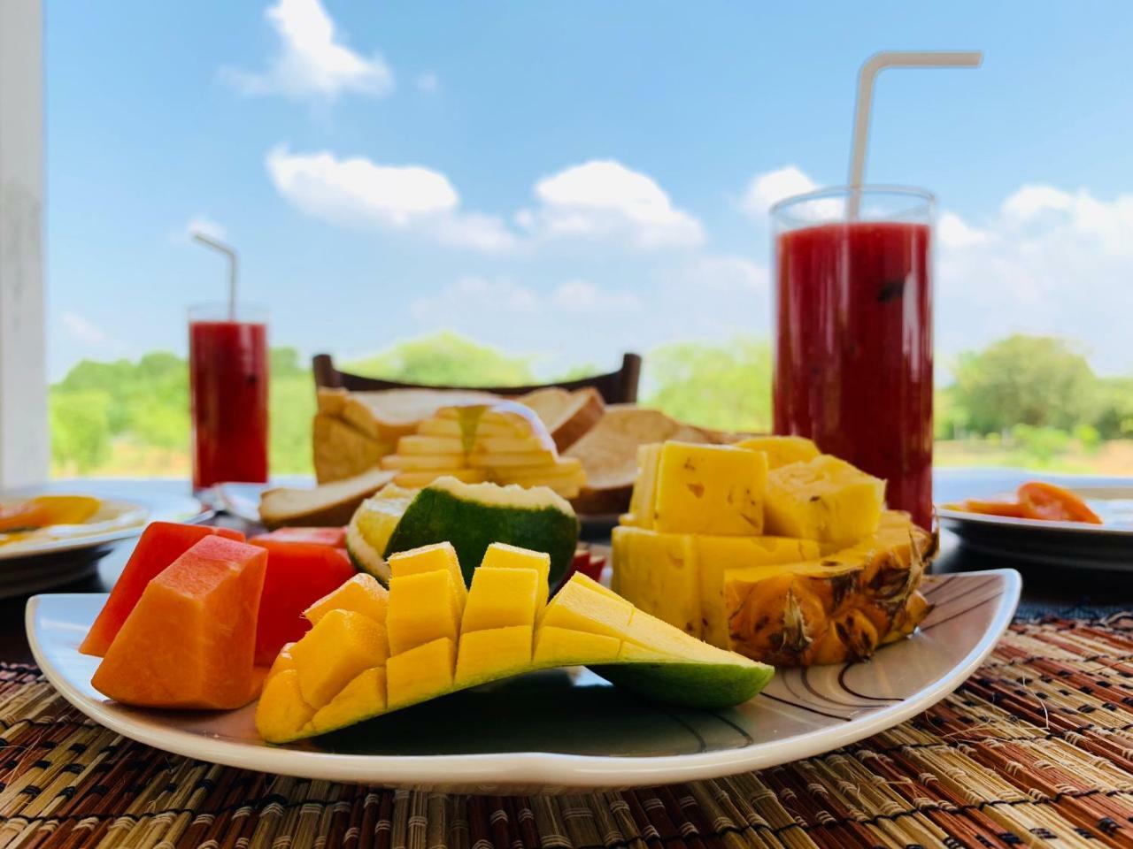 Thihawa Eco Huts Yala Bed & Breakfast Tissamaharama Dış mekan fotoğraf
