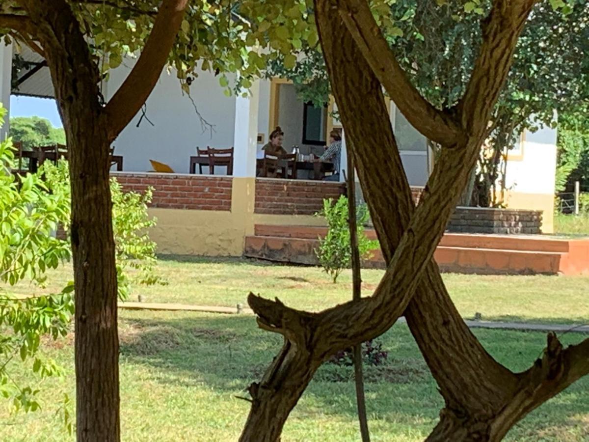 Thihawa Eco Huts Yala Bed & Breakfast Tissamaharama Dış mekan fotoğraf