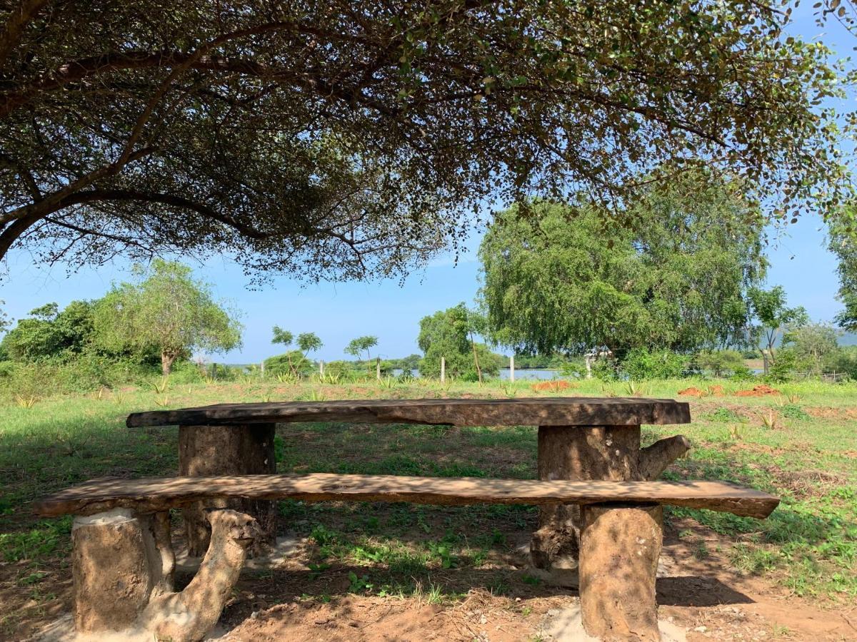 Thihawa Eco Huts Yala Bed & Breakfast Tissamaharama Dış mekan fotoğraf